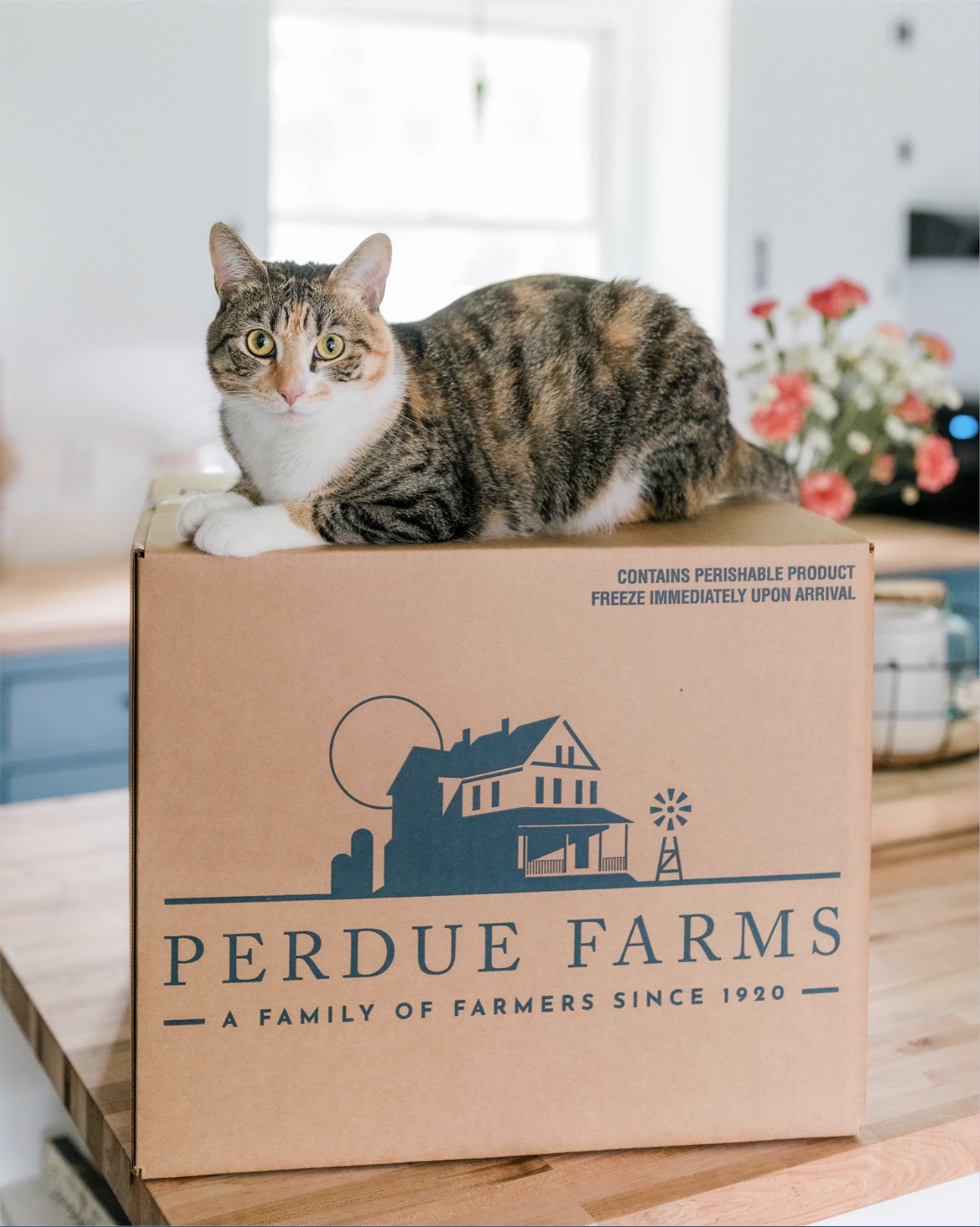 Newsletter Sign Up - Perdue Farms